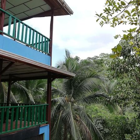 Allegra Hostel Drakes Bay Dış mekan fotoğraf