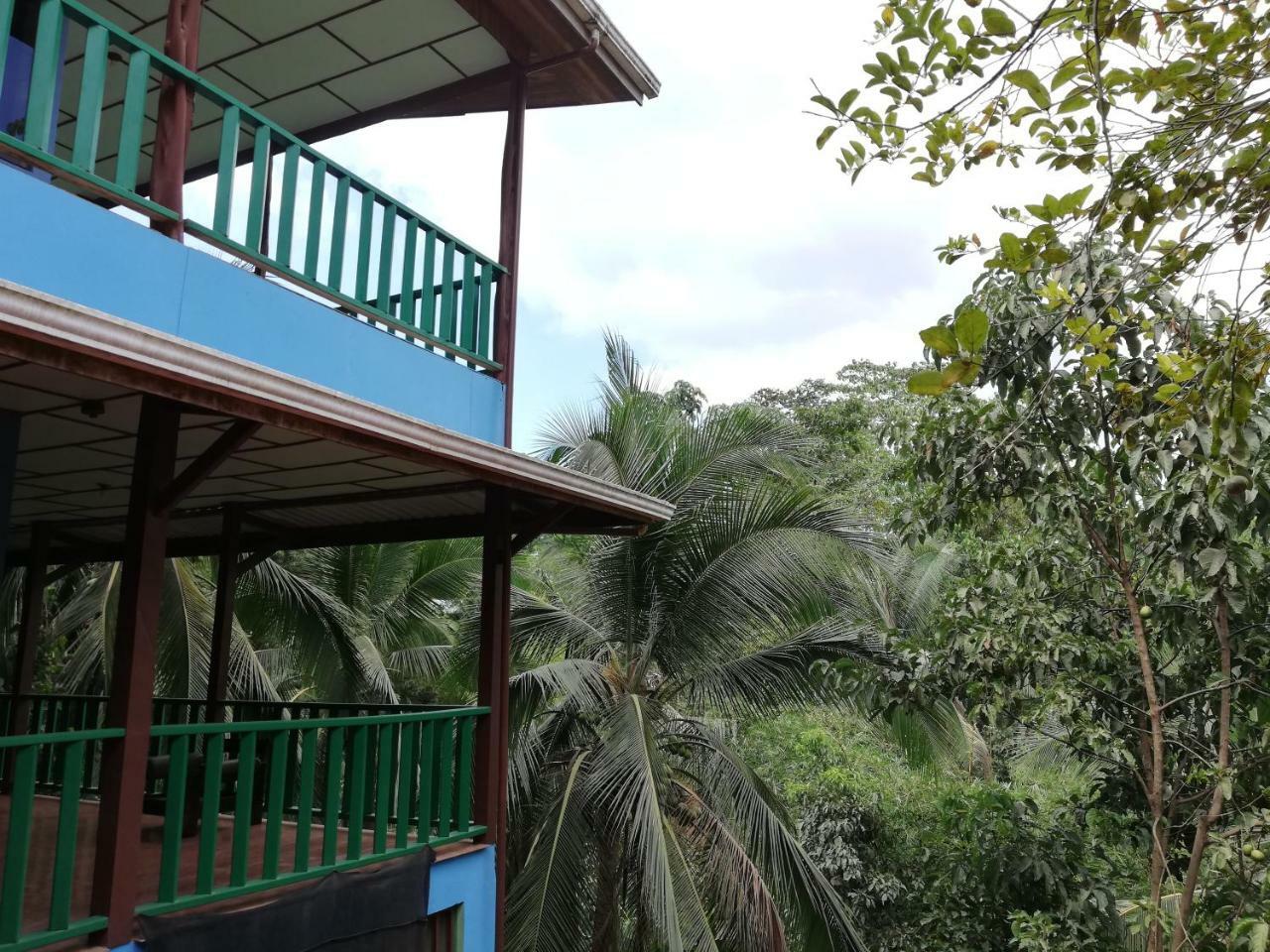 Allegra Hostel Drakes Bay Dış mekan fotoğraf